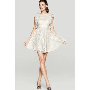 new BCBGMAXAZRIA bcbg silver fairy etheral lace short Cynthia cocktail dress 12